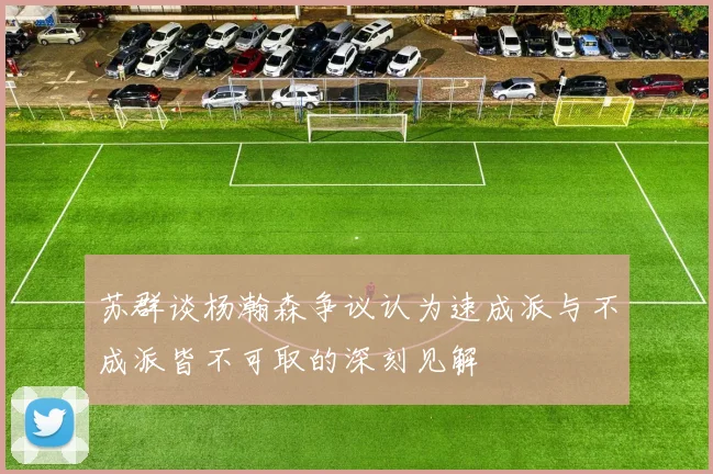苏群谈杨瀚森争议认为速成派与不成派皆不可取的深刻见解