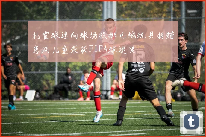 扎霍球迷向球场投掷毛绒玩具捐赠患病儿童荣获FIFA球迷奖