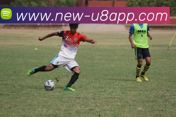 多媒体互动体验